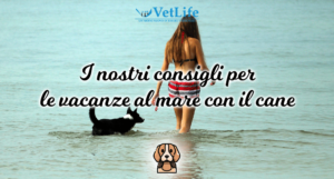 Clinica veterinaria VetLife, i nostri consigli per le vacanze al mare con il cane